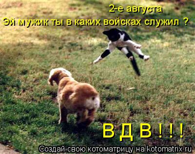 Котоматрица: Эй мужик ты в каких войсках служил ? 2-е августа В Д В ! ! !