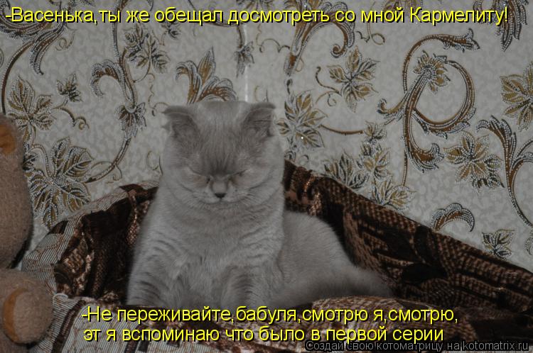 Котоматрица: -Васенька,ты же обещал досмотреть со мной Кармелиту! -Не переживайте,бабуля,смотрю я,смотрю, эт я вспоминаю что было в первой серии