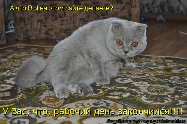 А что ВЫ на этом сайте делаете? У Вас, что, рабочий день закончился!!!!... Котоматрица: А что ВЫ на этом сайте делаете? У Вас, что, рабочий день закончился!!!!