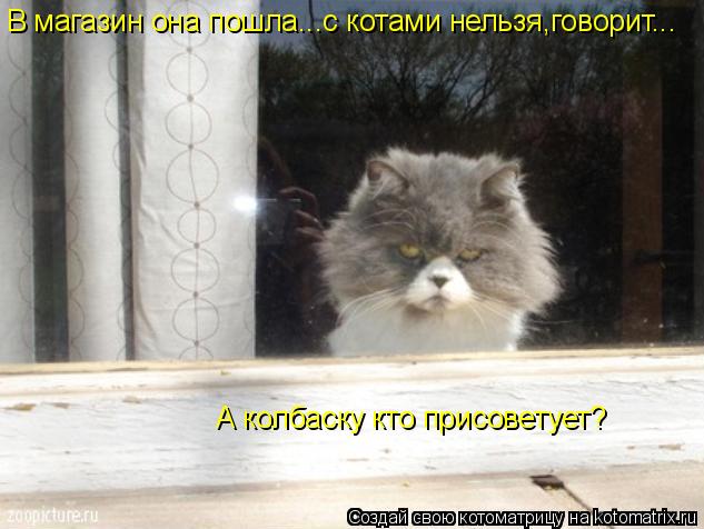В магазин она пошла...с котами нельзя,говорит... А колбаску кто присоветует?... Котоматрица: В магазин она пошла...с котами нельзя,говорит... А колбаску кто присоветует?