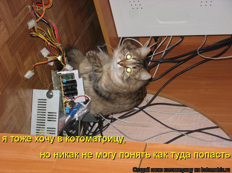 я тоже хочу в котоматрицу, но никак не могу понять как туда попасть... Котоматрица: я тоже хочу в котоматрицу, но никак не могу понять как туда попасть