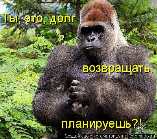Котоматрица: Ты, это, долг  возвращать планируешь?!