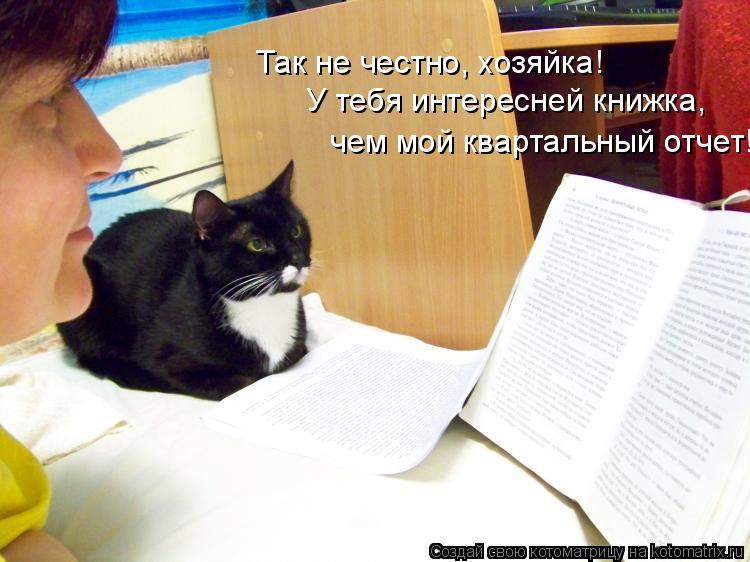 Котоматрица: Так не честно, хозяйка! У тебя интересней книжка,  чем мой квартальный отчет!