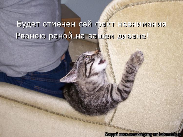 Будет отмечен сей факт невнимания Рваною раной на вашем диване!... Котоматрица: Будет отмечен сей факт невнимания Рваною раной на вашем диване!