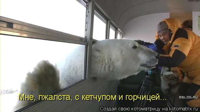 Котоматрица: Мне, пжалста, с кетчупом и горчицей...