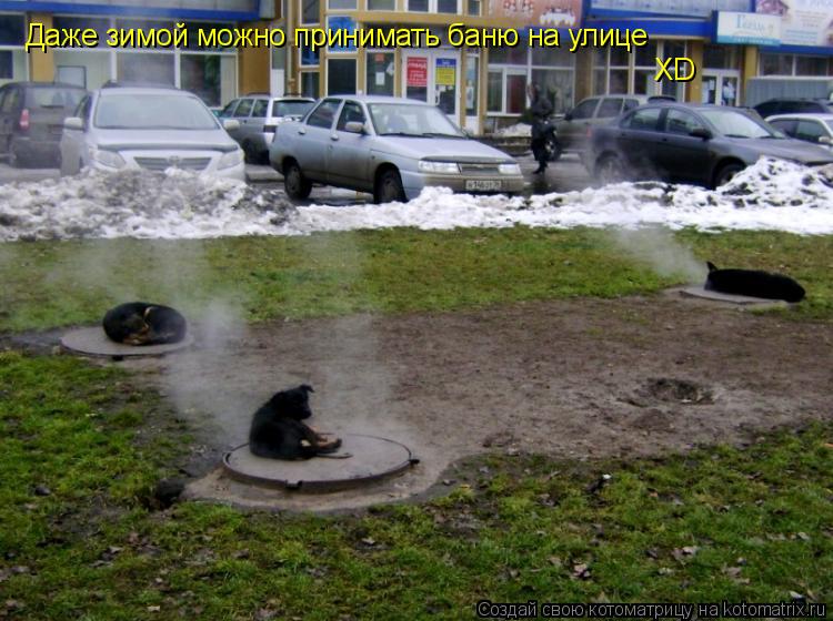 Котоматрица: Даже зимой можно принимать баню на улице XD