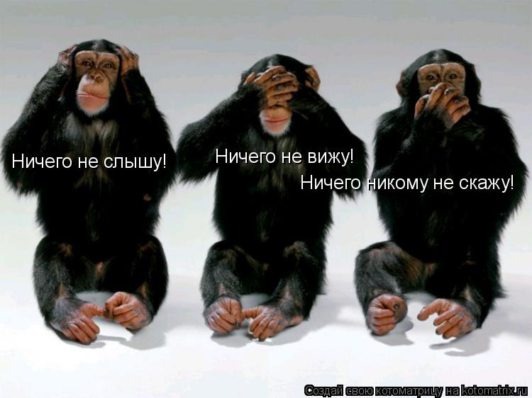 Ничего не слышу! Ничего не вижу! Ничего никому не скажу!... Котоматрица: Ничего не слышу! Ничего не вижу! Ничего никому не скажу!