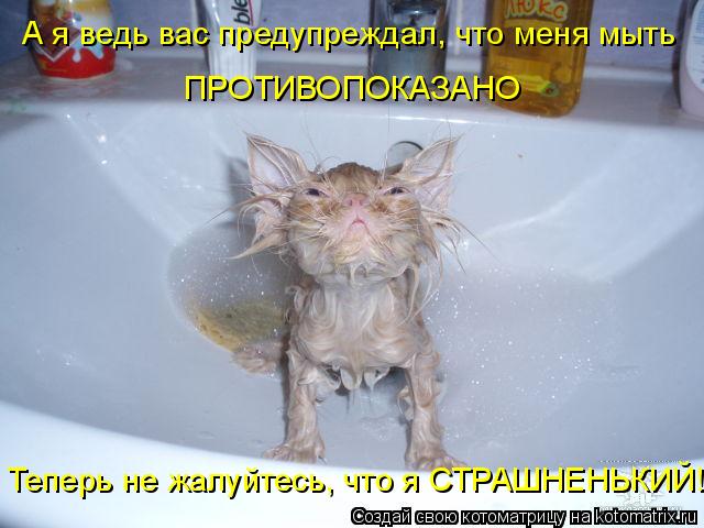 А я ведь вас предупреждал, что меня мыть ПРОТИВОПОКАЗАНО Теперь не жалуйтесь, что я СТРАШНЕНЬКИЙ!... Котоматрица: А я ведь вас предупреждал, что меня мыть ПРОТИВОПОКАЗАНО Теперь не жалуйтесь, что я СТРАШНЕНЬКИЙ!