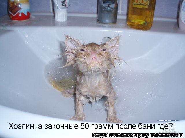 Хозяин, а законные 50 грамм после бани где?!... Котоматрица: Хозяин, а законные 50 грамм после бани где?!