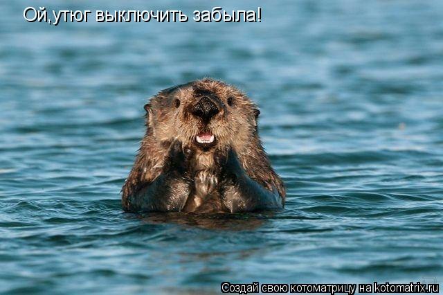 Ой,утюг выключить забыла!... Котоматрица: Ой,утюг выключить забыла!