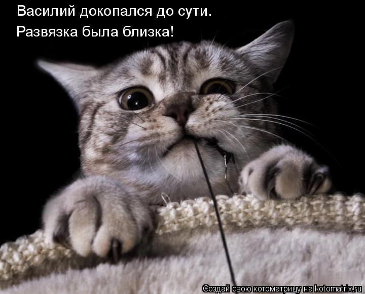 Василий докопался до сути. Развязка была близка!... Котоматрица: Василий докопался до сути. Развязка была близка!