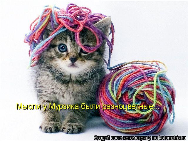 Мысли у Мурзика были разноцветные...... Котоматрица: Мысли у Мурзика были разноцветные...