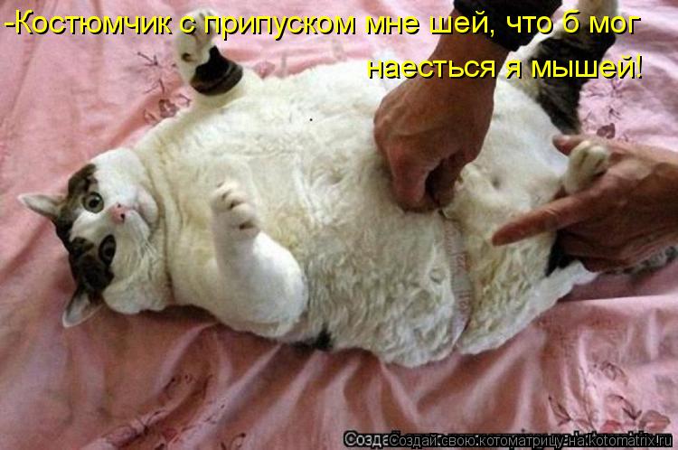 -Костюмчик с припуском мне шей, что б мог наесться я мышей!... Котоматрица: -Костюмчик с припуском мне шей, что б мог наесться я мышей!