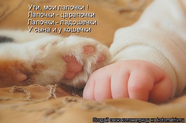 Ути, мои лапочки ! Лапочки - царапочки Лапочки - ладошечки У сына и у кошечки... Котоматрица: Ути, мои лапочки ! Лапочки - царапочки Лапочки - ладошечки У сына и у кошечки