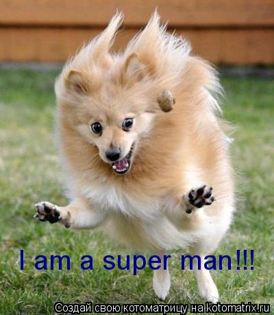 Котоматрица: I am a super man!!!