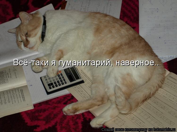 Всё-таки я гуманитарий, наверное..... Котоматрица: Всё-таки я гуманитарий, наверное..