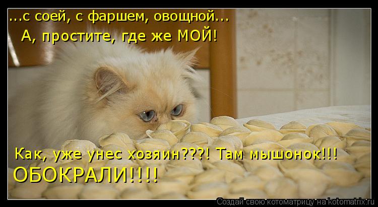 ...с соей, с фаршем, овощной... А, простите, где же МОЙ! Как, уже унес хозяин???! Там мышонок!!! ОБОК... Котоматрица: ...с соей, с фаршем, овощной... А, простите, где же МОЙ! Как, уже унес хозяин???! Там мышонок!!! ОБОКРАЛИ!!!!