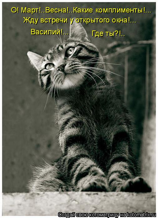 О! Март!..Весна!..Какие комплименты!... Жду встречи у открытого окна!... Василий!... Где ты?!..... Котоматрица: О! Март!..Весна!..Какие комплименты!... Жду встречи у открытого окна!... Василий!... Где ты?!..