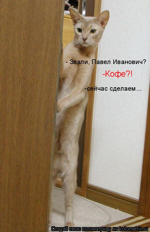- Звали, Павел Иванович? -Кофе?! -сейчас сделаем...... Котоматрица: - Звали, Павел Иванович? -Кофе?! -сейчас сделаем...