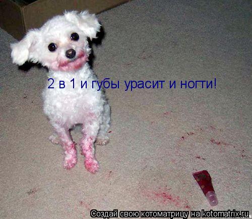 Котоматрица: 2 в 1 и губы урасит и ногти!