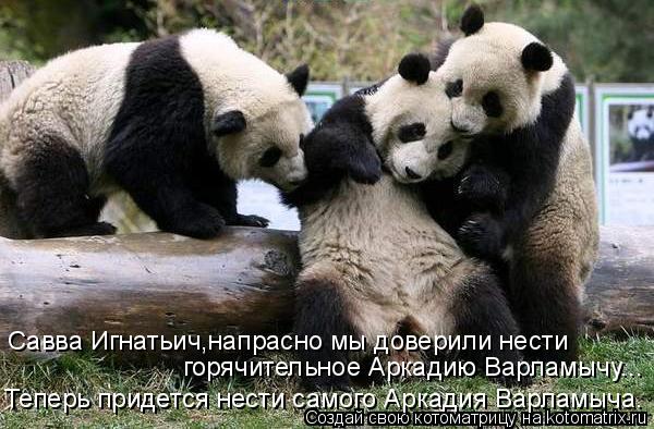 Котоматрица: Савва Игнатьич,напрасно мы доверили нести  горячительное Аркадию Варламычу... Теперь придется нести самого Аркадия Варламыча.