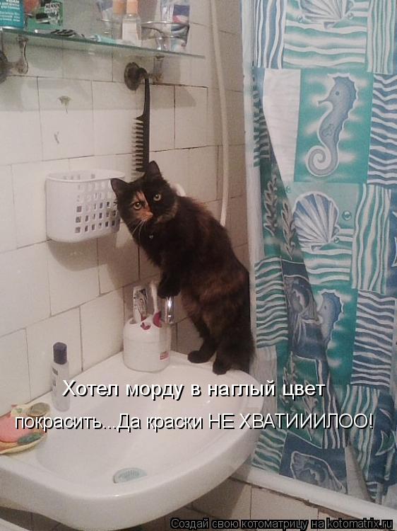 Хотел морду в наглый цвет покрасить...Да краски НЕ ХВАТИИИЛОО!... Котоматрица: Хотел морду в наглый цвет покрасить...Да краски НЕ ХВАТИИИЛОО!