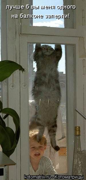 Котоматрица: лучше б вы меня одного на балконе заперли!