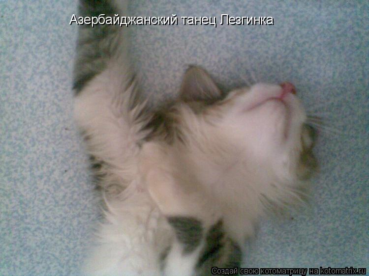 Котоматрица: Азербайджанский танец Лезгинка
