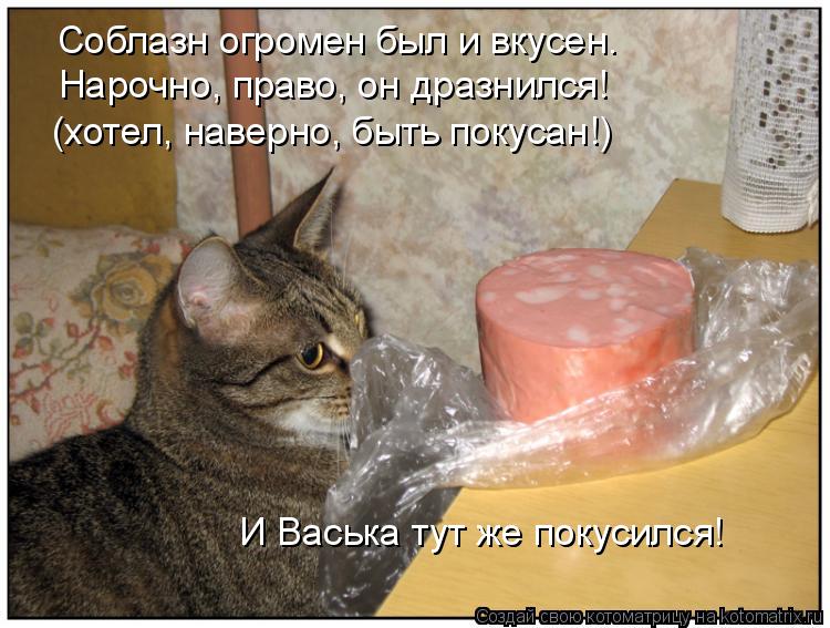 Соблазн огромен был и вкусен. Нарочно, право, он дразнился! (хотел, наверно, быть покусан!) И Васька... Котоматрица: Соблазн огромен был и вкусен. Нарочно, право, он дразнился! (хотел, наверно, быть покусан!) И Васька тут же покусился!
