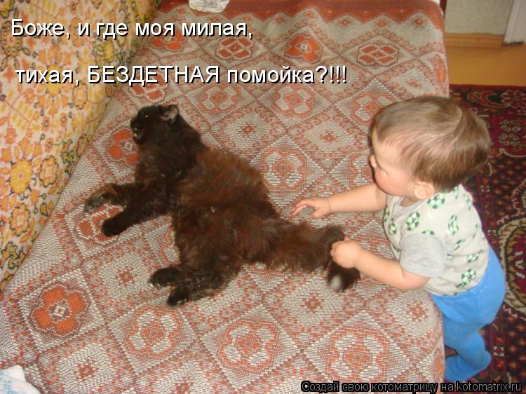 Боже, и где моя милая, тихая, БЕЗДЕТНАЯ помойка?!!!... Котоматрица: Боже, и где моя милая, тихая, БЕЗДЕТНАЯ помойка?!!!