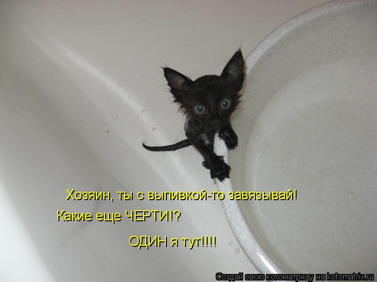 Хозяин, ты с выпивкой-то завязывай! Какие еще ЧЕРТИ!? ОДИН я тут!!!!... Котоматрица: Хозяин, ты с выпивкой-то завязывай! Какие еще ЧЕРТИ!? ОДИН я тут!!!!