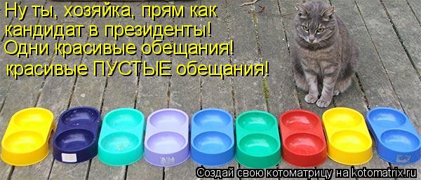 Ну ты, хозяйка, прям как кандидат в президенты! Одни красивые обещания! красивые ПУСТЫЕ обещания!... Котоматрица: Ну ты, хозяйка, прям как кандидат в президенты! Одни красивые обещания! красивые ПУСТЫЕ обещания!