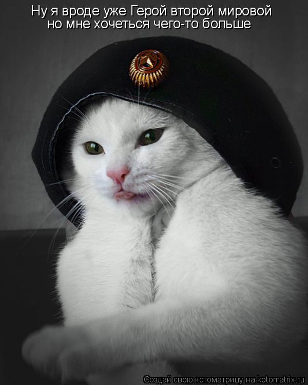 Ну я вроде уже Герой второй мировой но мне хочеться чего-то больше... Котоматрица: Ну я вроде уже Герой второй мировой но мне хочеться чего-то больше