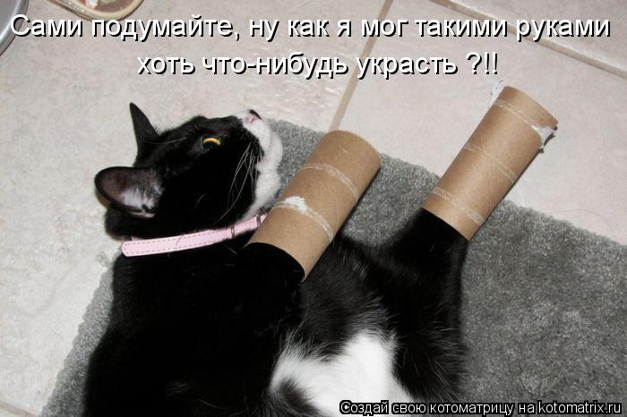 хоть что-нибудь украсть ?!! Сами подумайте, ну как я мог такими руками... Котоматрица: хоть что-нибудь украсть ?!! Сами подумайте, ну как я мог такими руками