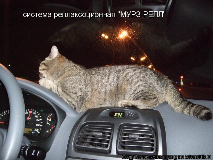 система реллаксоционная "МУРЗ-РЕЛЛ"... Котоматрица: система реллаксоционная "МУРЗ-РЕЛЛ"