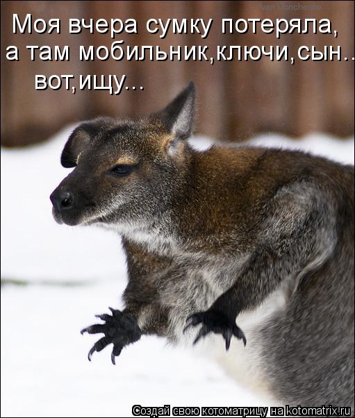 Котоматрица: Моя вчера сумку потеряла, а там мобильник,ключи,сын... вот,ищу...