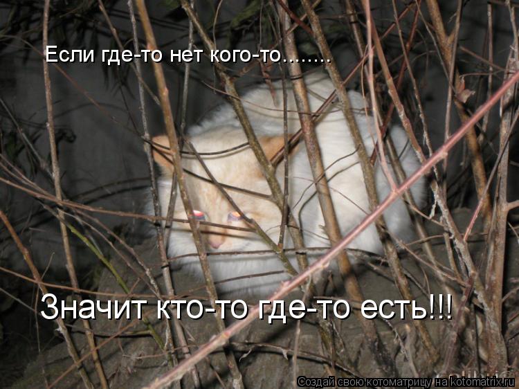 Если где-то нет кого-то........ Значит кто-то где-то есть!!!... Котоматрица: Если где-то нет кого-то........ Значит кто-то где-то есть!!!