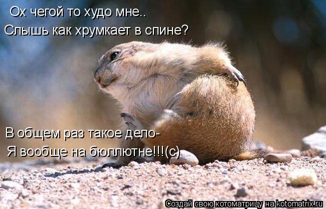 Ох чегой то худо мне.. Слышь как хрумкает в спине? В общем раз такое дело- Я вообще на бюллютне!!!(с)... Котоматрица: Ох чегой то худо мне.. Слышь как хрумкает в спине? В общем раз такое дело- Я вообще на бюллютне!!!(с)