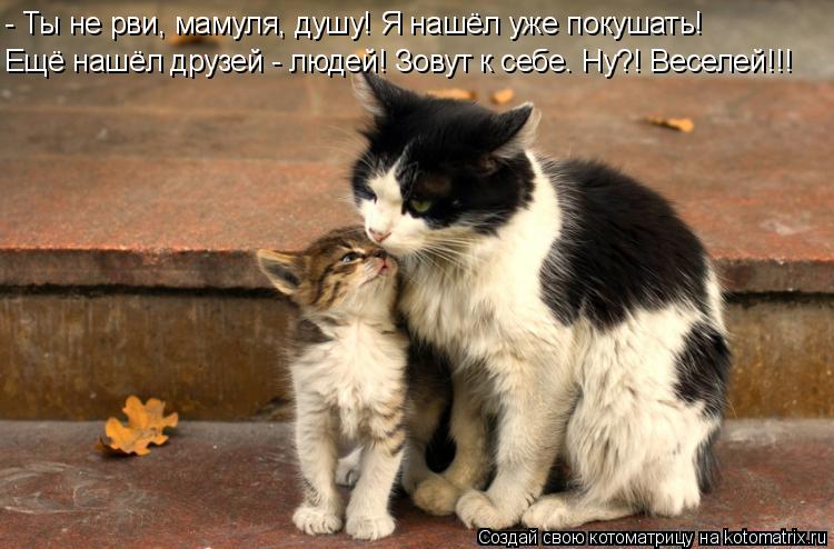 Ещё нашёл друзей - людей! Зовут к себе. Ну?! Веселей!!! - Ты не рви, мамуля, душу! Я нашёл уже покуша... Котоматрица: Ещё нашёл друзей - людей! Зовут к себе. Ну?! Веселей!!! - Ты не рви, мамуля, душу! Я нашёл уже покушать!