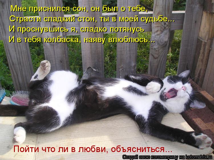 Котоматрица: Мне приснился сон, он был о тебе, Страсти сладкий стон, ты в моей судьбе... И проснувшись я, сладко потянусь И в тебя колбаска, наяву влюблюсь...