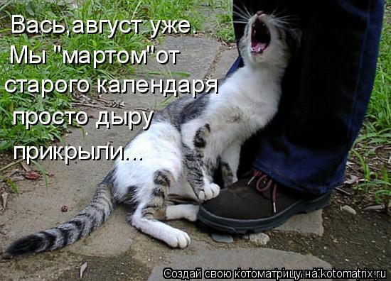 Котоматрица: Вась,август уже. Мы "мартом"от  старого календаря просто дыру  прикрыли...