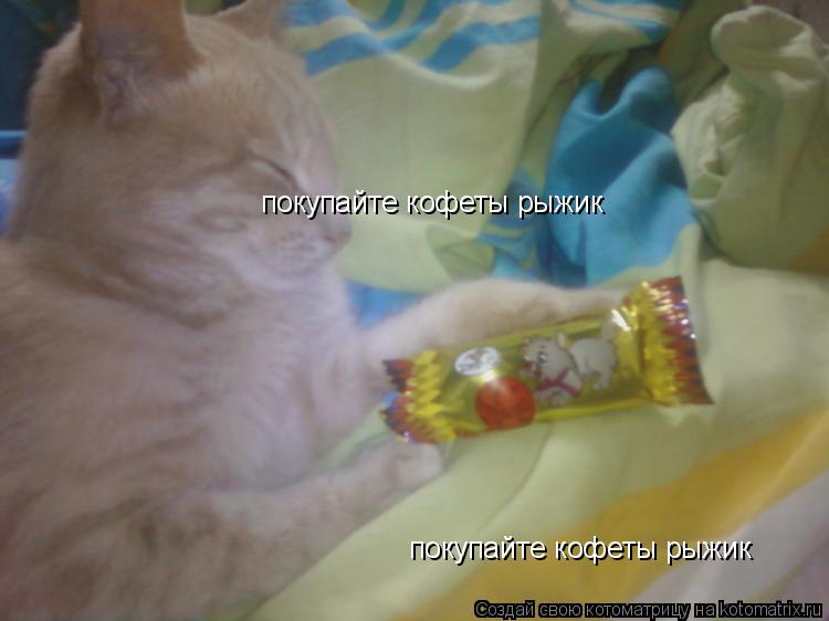 покупайте кофеты рыжик покупайте кофеты рыжик... Котоматрица: покупайте кофеты рыжик покупайте кофеты рыжик