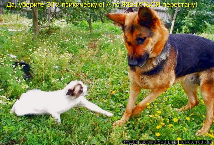 Да, уберите ЭТУ психическую! А то ЖЕНИТЬСЯ перестану!... Котоматрица: Да, уберите ЭТУ психическую! А то ЖЕНИТЬСЯ перестану!
