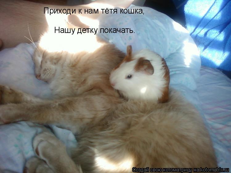 Приходи к нам тётя кошка, Нашу детку покачать.... Котоматрица: Приходи к нам тётя кошка, Нашу детку покачать.