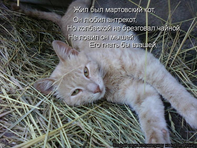 Жил был мартовский кот, Он любил антрекот, Но колбаской не брезговал чайной, Не ловил он мышей, Его г... Котоматрица: Жил был мартовский кот, Он любил антрекот, Но колбаской не брезговал чайной, Не ловил он мышей, Его гнать бы взашей,