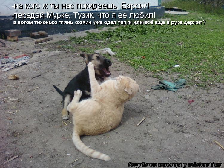 -на кого ж ты нас покидаешь, Барсик! -передай Мурке, Тузик, что я её любил! а потом тихонько глянь хо... Котоматрица: -на кого ж ты нас покидаешь, Барсик! -передай Мурке, Тузик, что я её любил! а потом тихонько глянь хозяин уже одел тапки или всё еще в руке держ