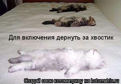 Котоматрица: Для включения дернуть за хвостик