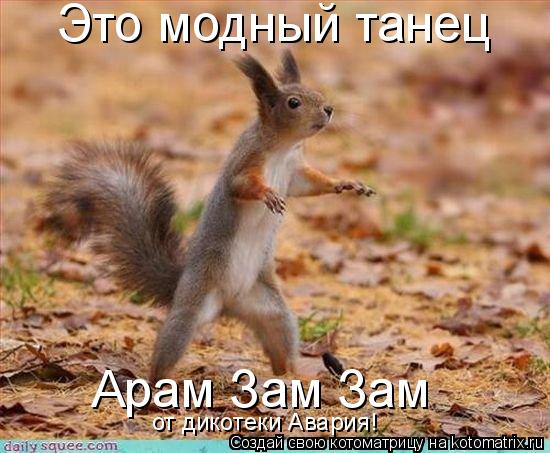 Это модный танец Арам Зам Зам от дикотеки Авария!... Котоматрица: Это модный танец Арам Зам Зам от дикотеки Авария!