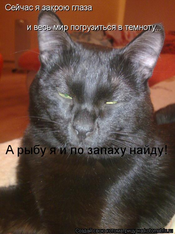 Сейчас я закрою глаза и весь мир погрузиться в темноту... А рыбу я и по запаху найду!... Котоматрица: Сейчас я закрою глаза и весь мир погрузиться в темноту... А рыбу я и по запаху найду!