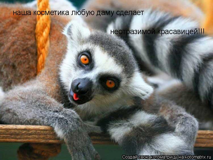 наша косметика любую даму сделает неотразимой красавицей!!!... Котоматрица: наша косметика любую даму сделает неотразимой красавицей!!!